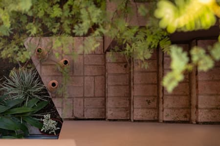 House around the Tree